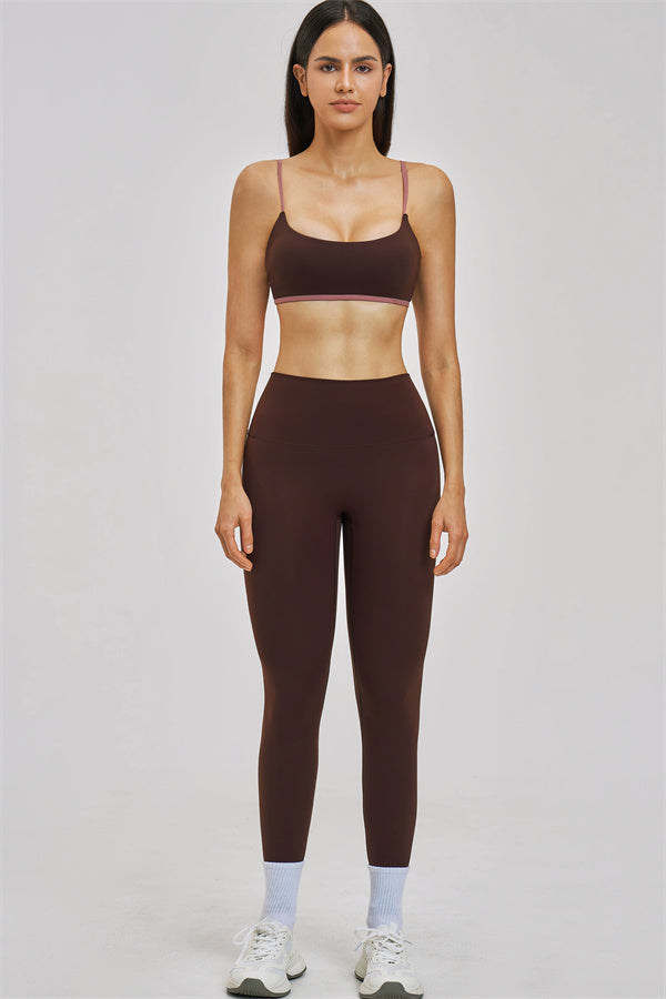 The New Seraphine Sports Bra