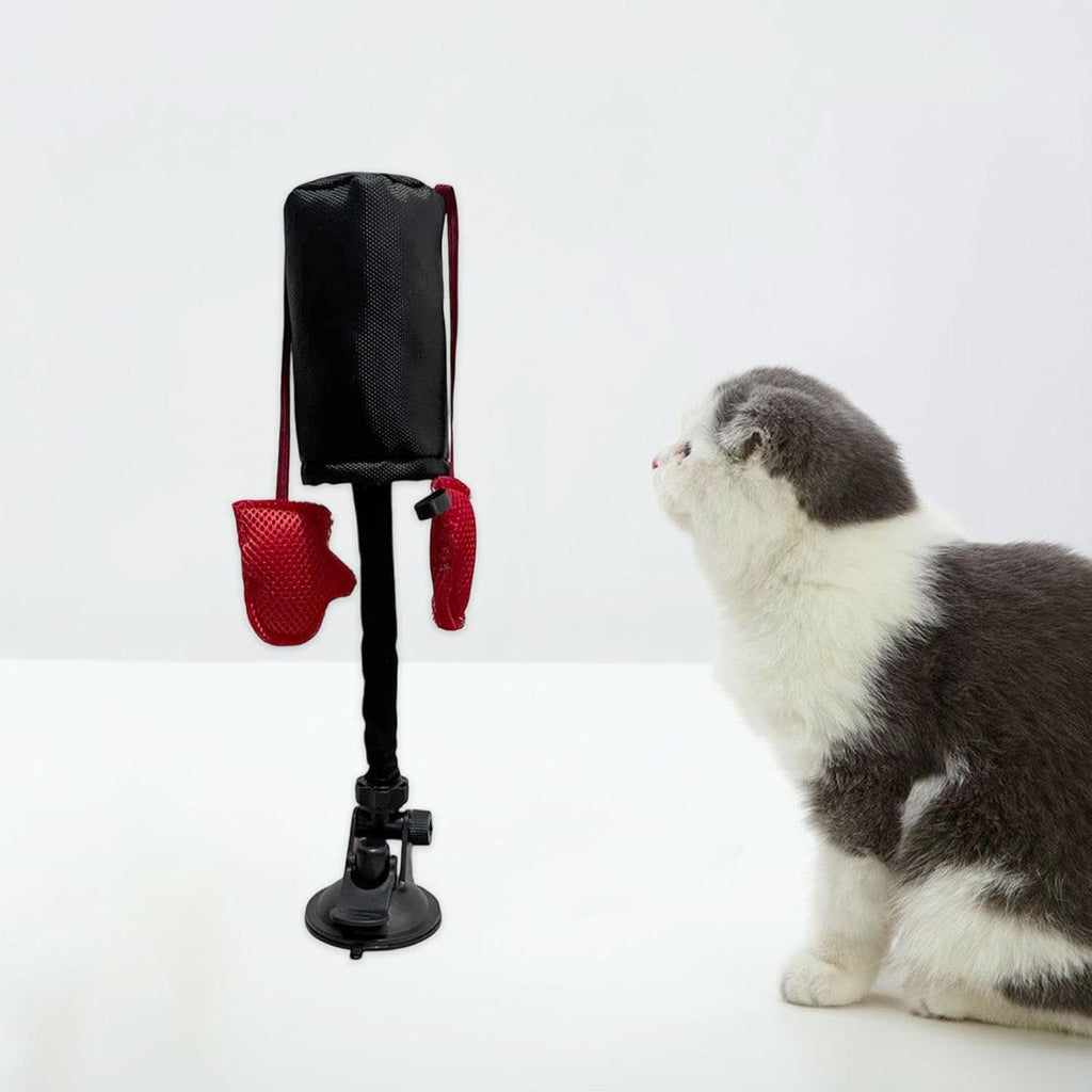 Cat Punching Bag Toy – Interactive Fun for Indoor Cats
