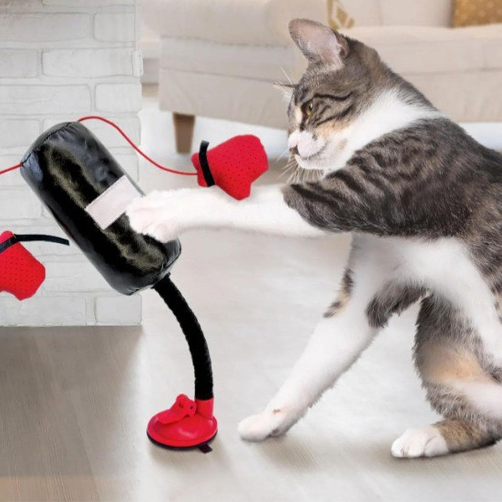 Cat Punching Bag Toy – Interactive Fun for Indoor Cats