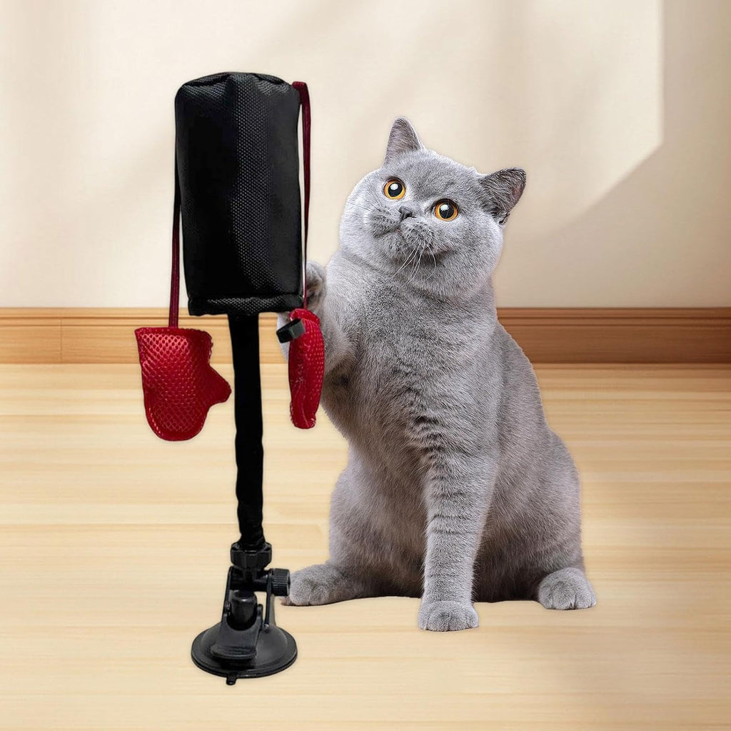 Cat Punching Bag Toy – Interactive Fun for Indoor Cats