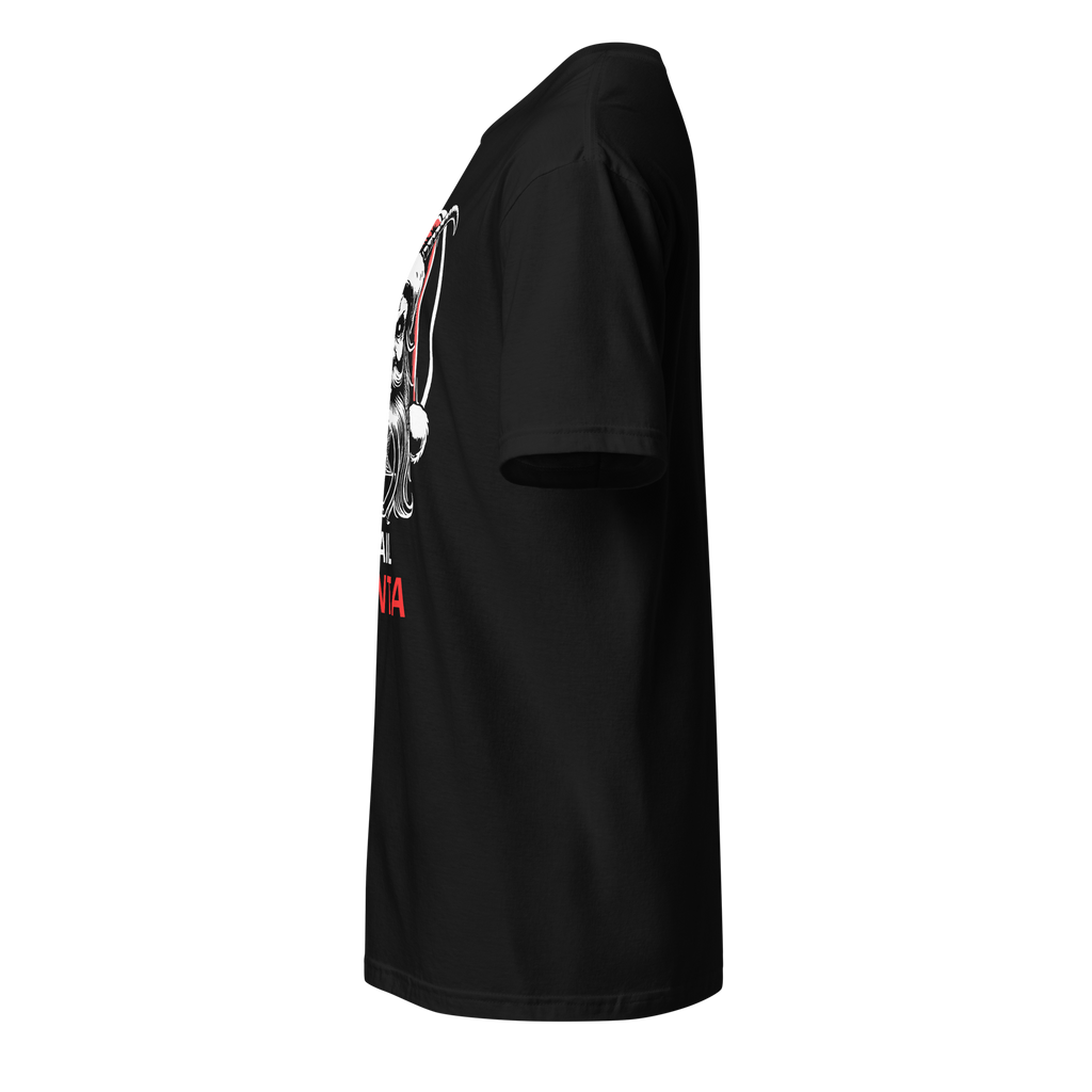 HAIL SANTA Unisex T-Shirt