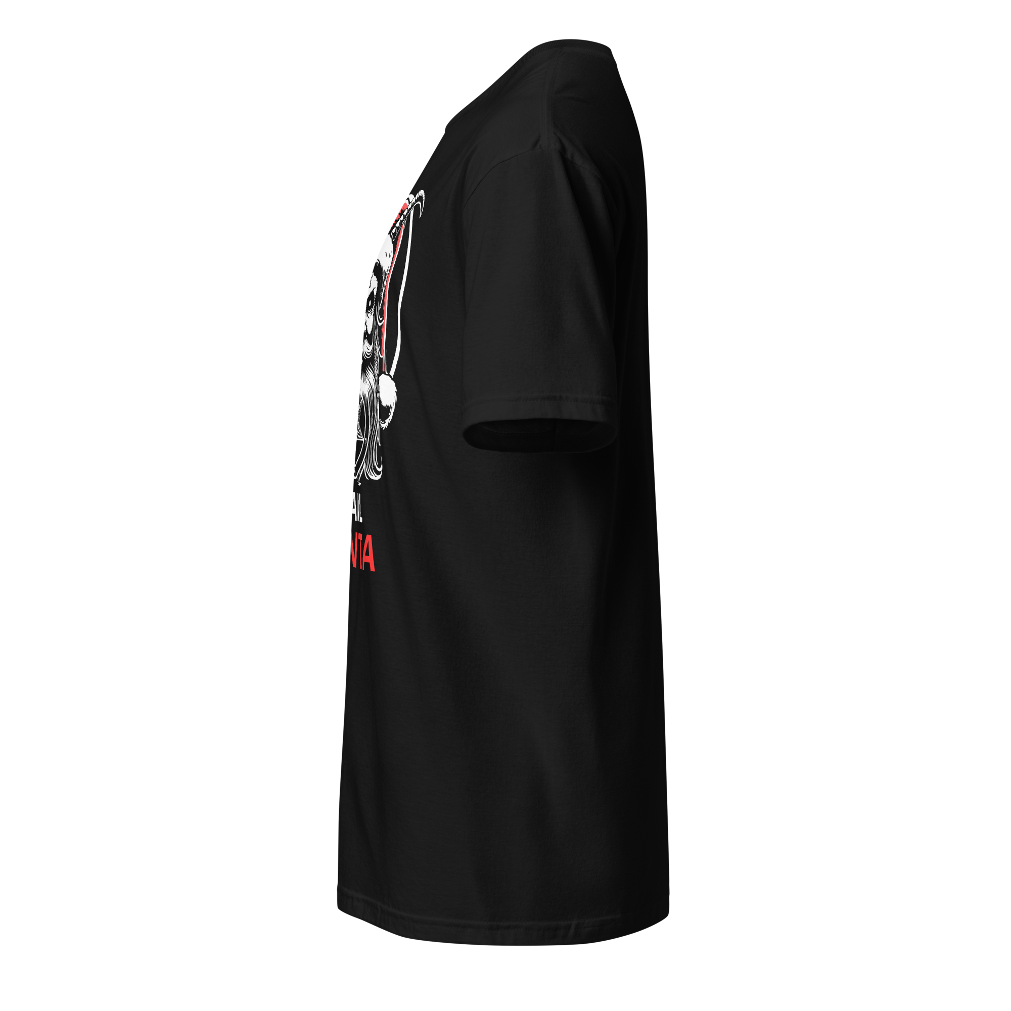 HAIL SANTA Unisex T-Shirt
