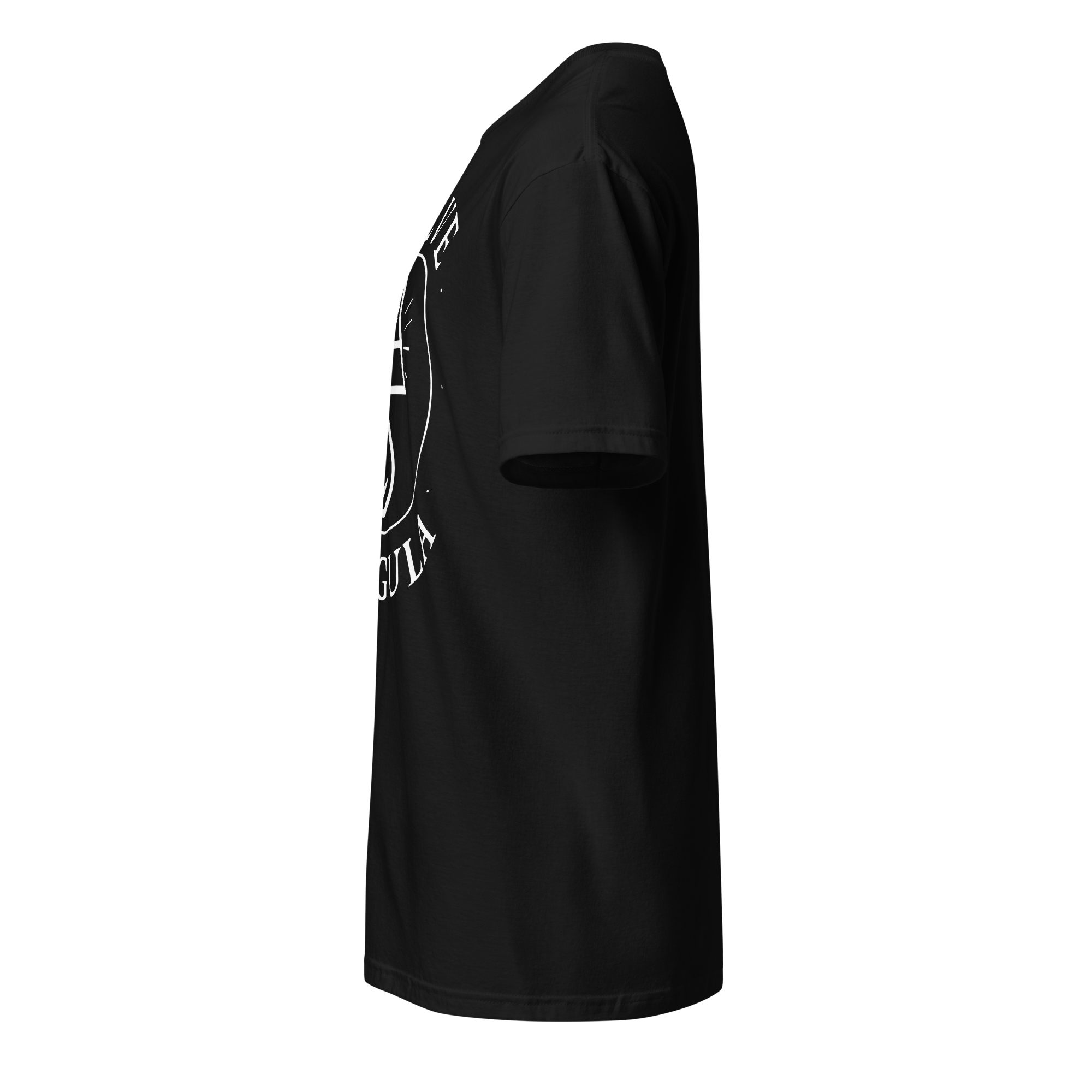 Solve et Coagula Unisex T-Shirt